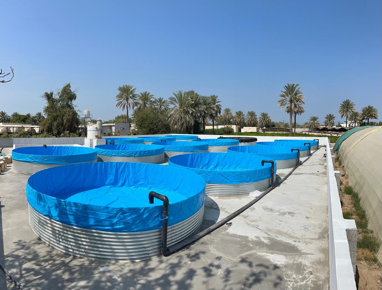 Muscat Pilot Hybride RAS System - Land-based Shrimp Farm